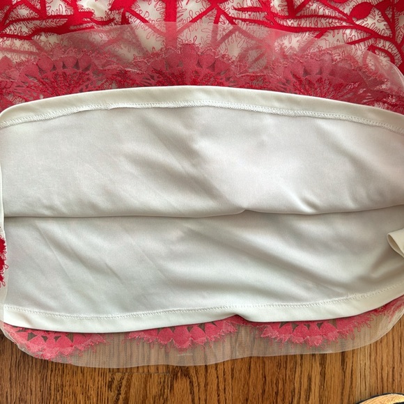 Anthropologie | Geisha Designs | Sugared Ruby Red Lace Dress | Size 6 - Picture 13 of 17